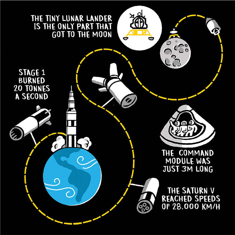 Cartoon shows that only a tiny lunar lander made it to the surface of the moon, and that the command module was just 3 metres long.